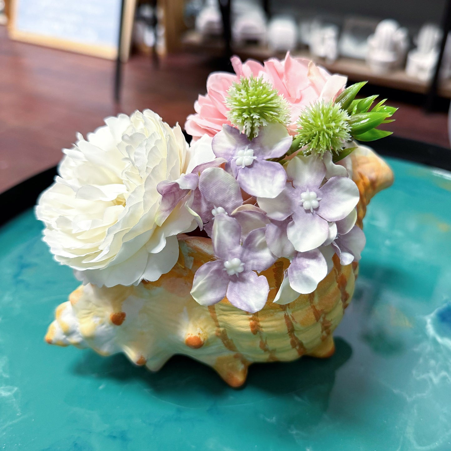 Conch Shell