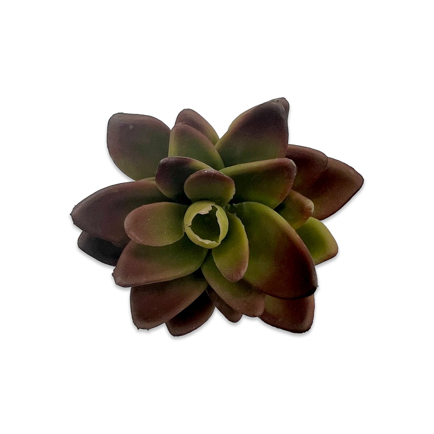 Faux Succulent 4" Red