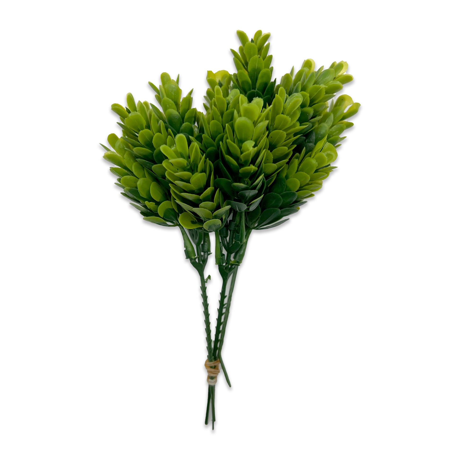 faux succulent bundle Faux Succulent 5" Rounded Leaves Bundle – Hammer & Stain York County LLC
