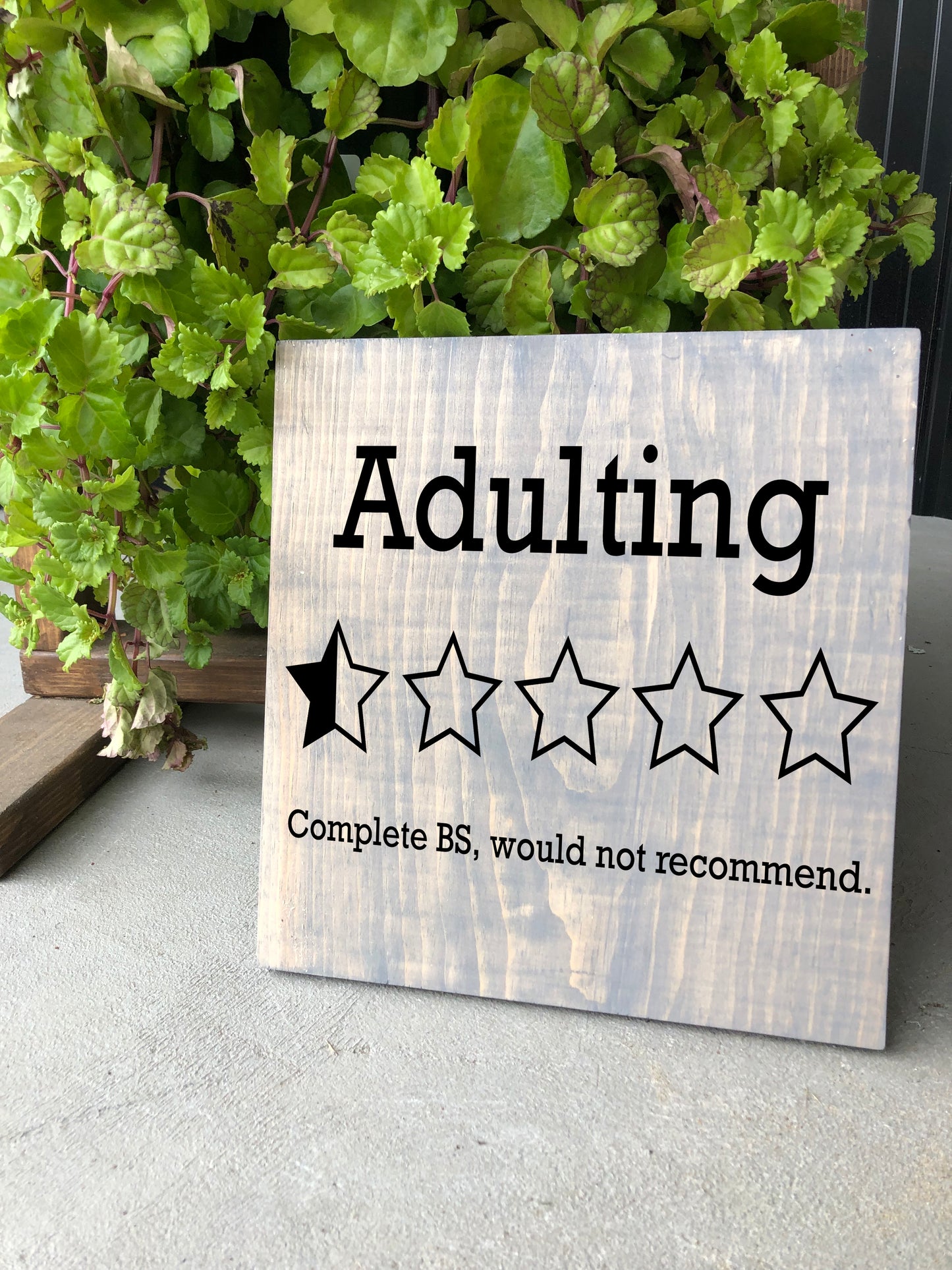 Adulting Would Not Recommend