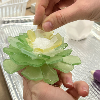 6/4/2026 - Thursday (6pm) Sea Glass Succulents Workshop - TEENS WELCOME!