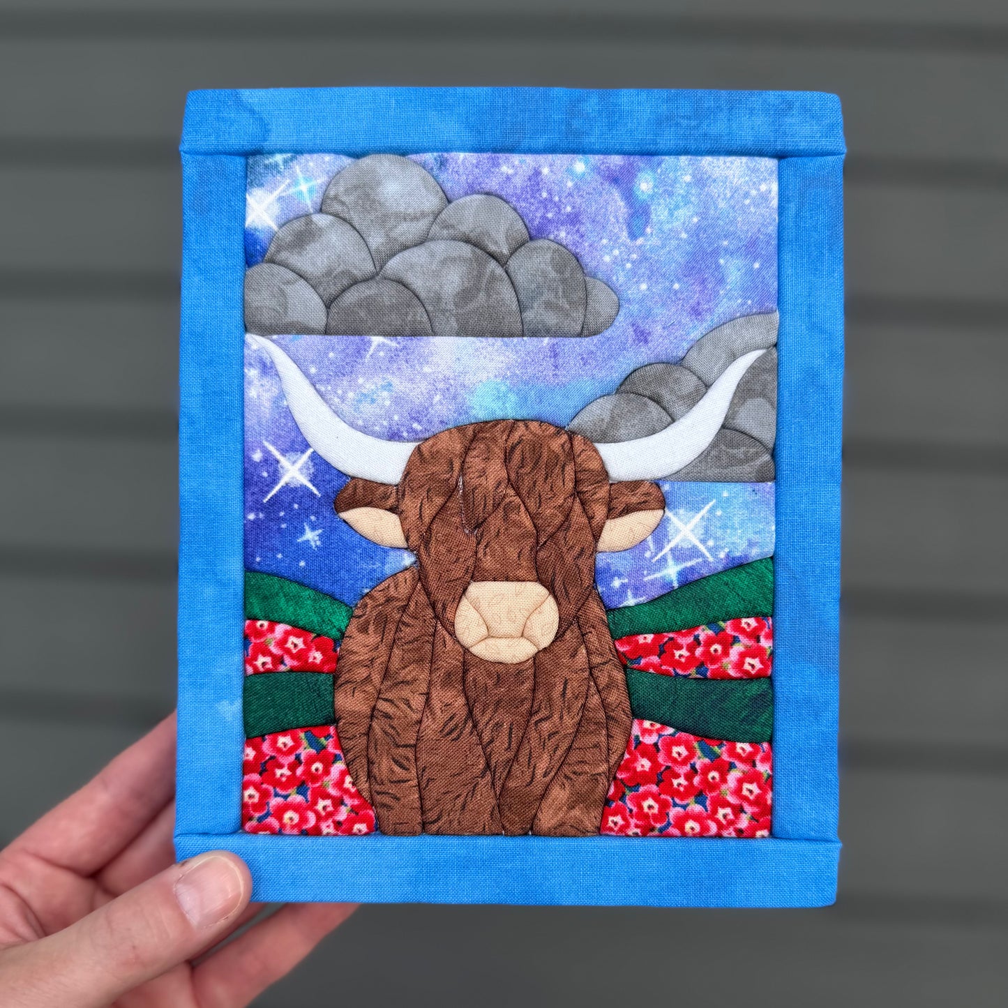 Highland Cow