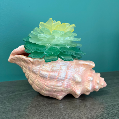 4/16/2025 - Wednesday (6:30pm) Sea Glass Succulents Workshop