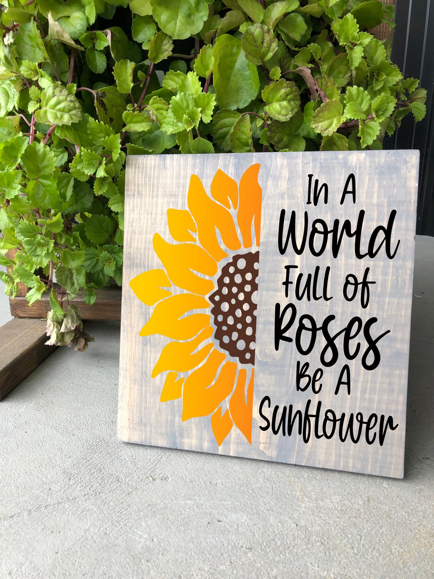 In a World Full of Roses Be a Sunflower