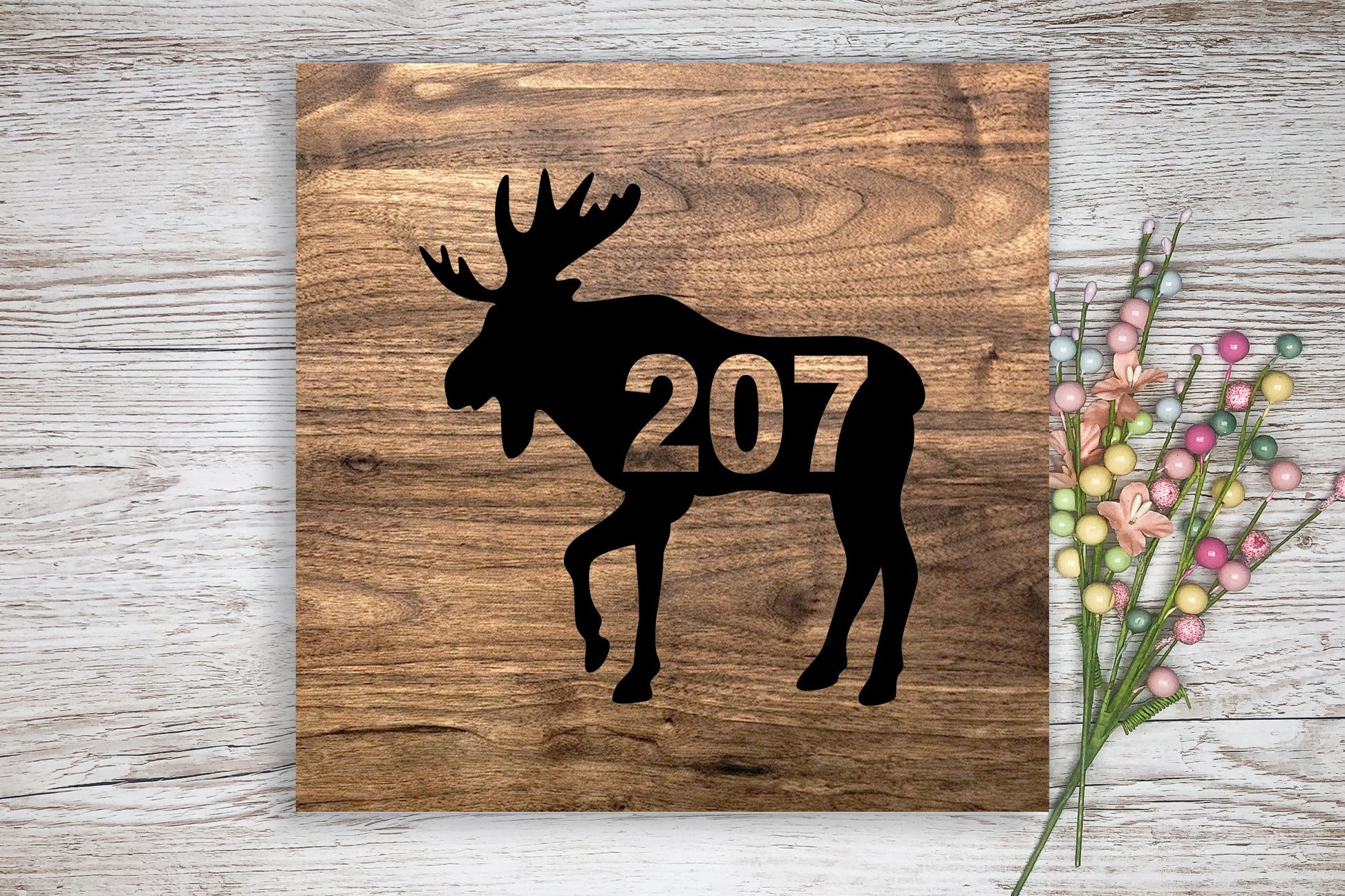 207 Moose