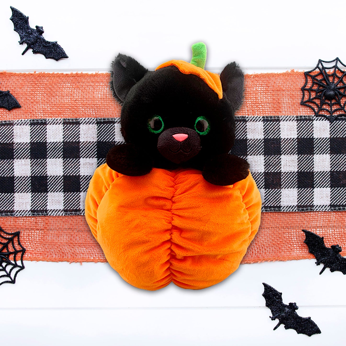 Pumpkin Pie Cat