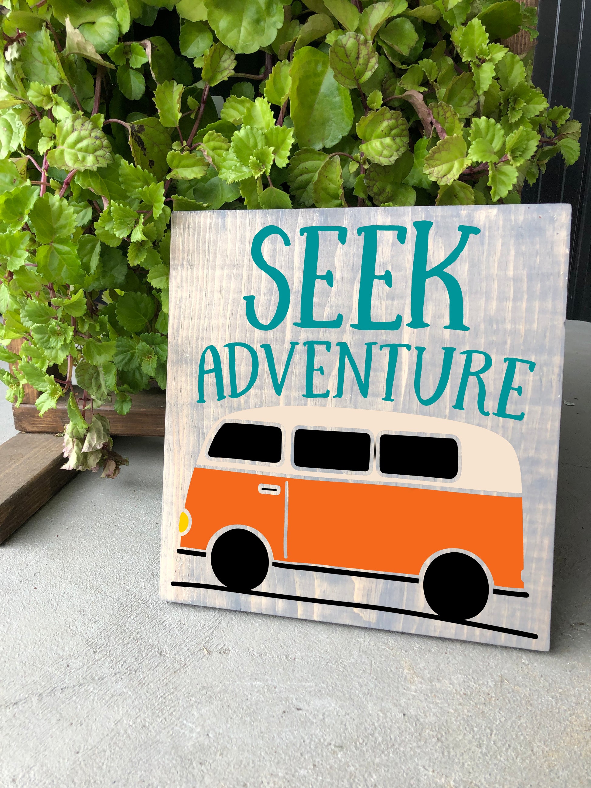 Seek Adventure