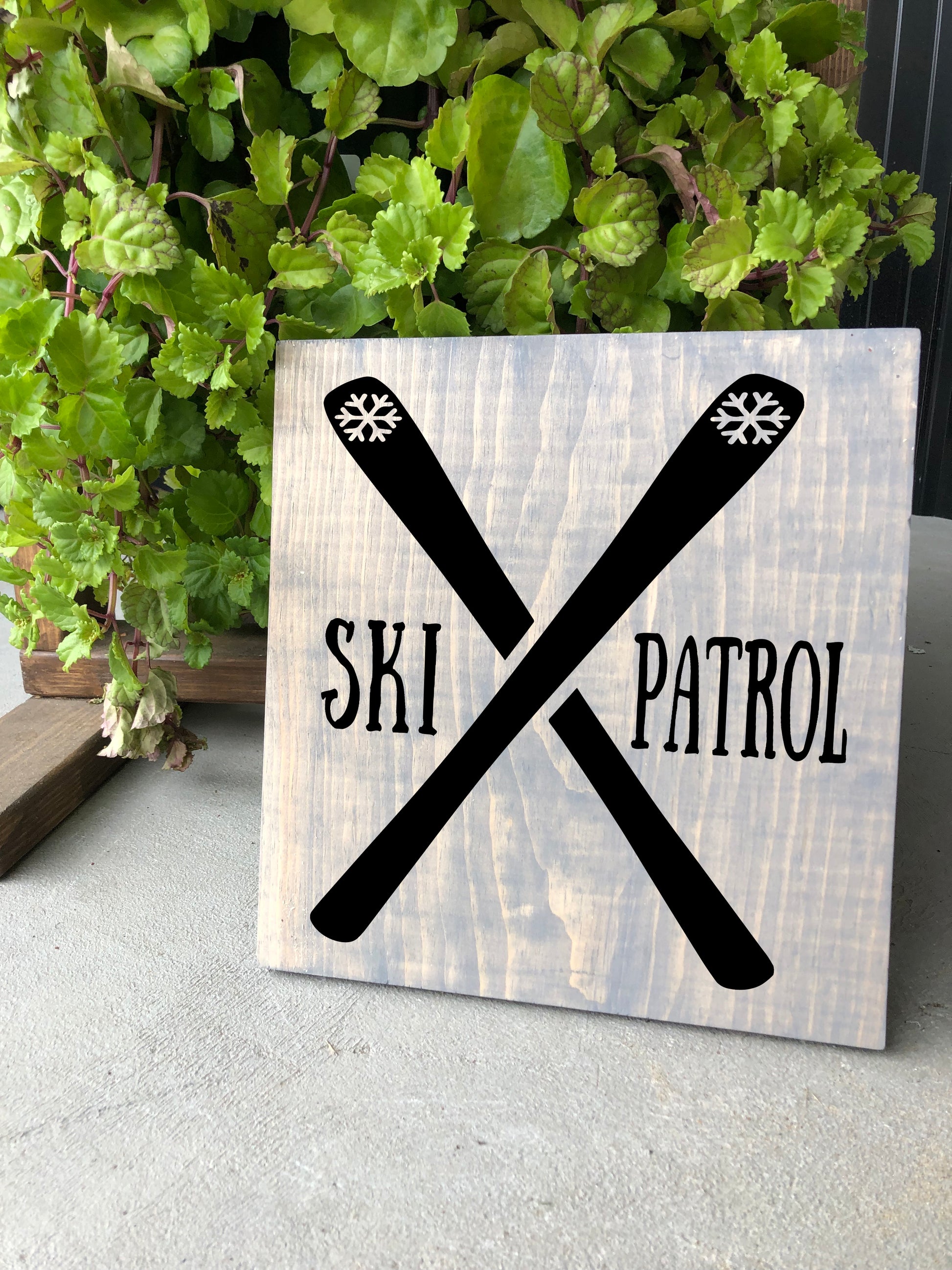 Ski Patrol