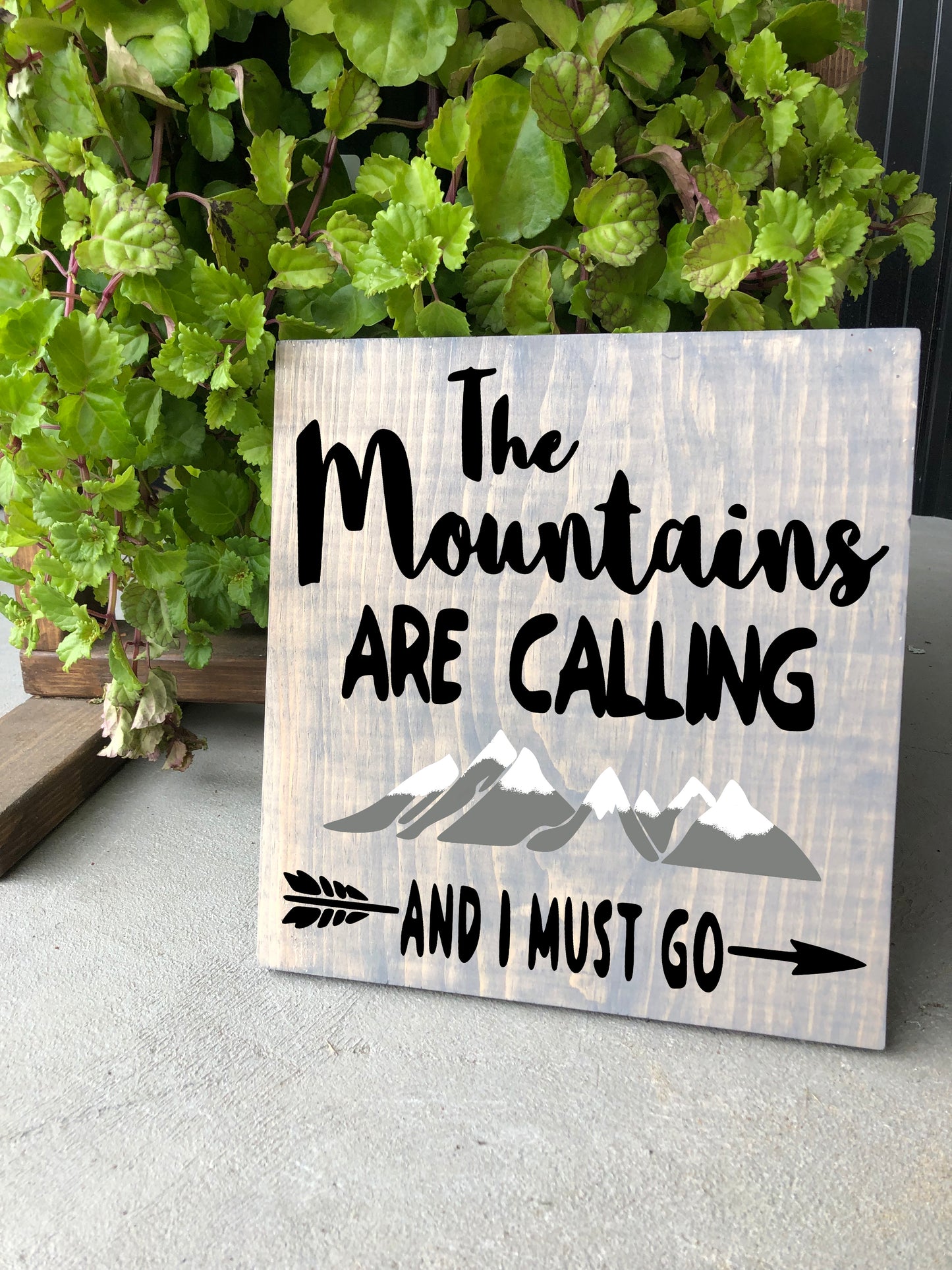 The Mountains Are Calling